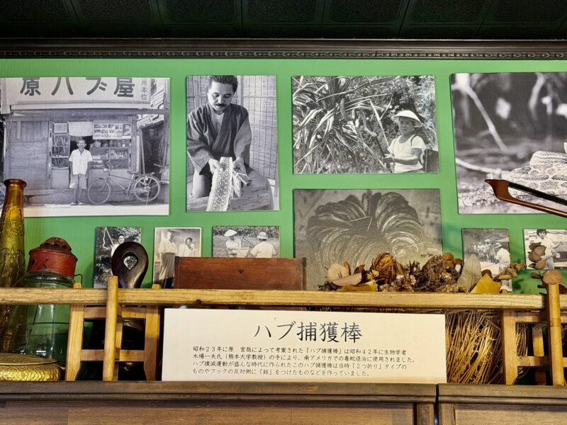 原ハブ屋の歴史を伝える店内展示｜奄美大島・名瀬
