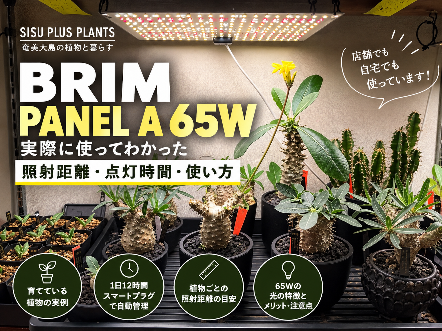 植物育成LEDの選び方｜BRIM PANEL A・COSMOを実際に使った照射距離・LUX・PPFD管理
